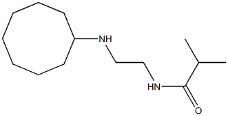 N-[2-(cyclooctylamino)ethyl]-2-methylpropanamide 结构式