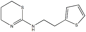 N-[2-(thiophen-2-yl)ethyl]-5,6-dihydro-4H-1,3-thiazin-2-amine 结构式