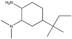 N-[2-amino-5-(1,1-dimethylpropyl)cyclohexyl]-N,N-dimethylamine 结构式