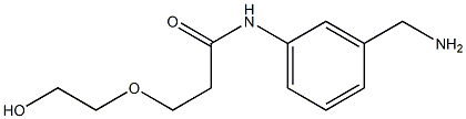 N-[3-(aminomethyl)phenyl]-3-(2-hydroxyethoxy)propanamide 结构式