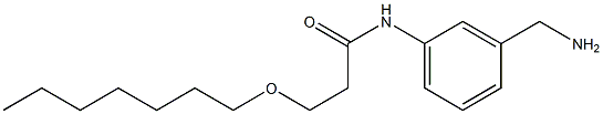 N-[3-(aminomethyl)phenyl]-3-(heptyloxy)propanamide 结构式