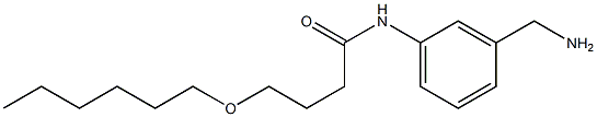 N-[3-(aminomethyl)phenyl]-4-(hexyloxy)butanamide 结构式