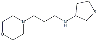 N-[3-(morpholin-4-yl)propyl]thiolan-3-amine 结构式