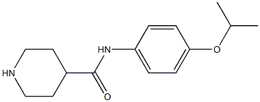 N-[4-(propan-2-yloxy)phenyl]piperidine-4-carboxamide 结构式