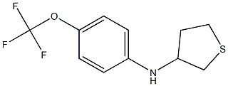 N-[4-(trifluoromethoxy)phenyl]thiolan-3-amine 结构式