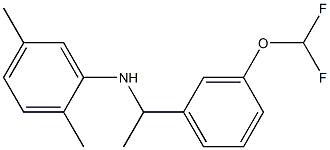 N-{1-[3-(difluoromethoxy)phenyl]ethyl}-2,5-dimethylaniline 结构式