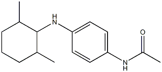 N-{4-[(2,6-dimethylcyclohexyl)amino]phenyl}acetamide 结构式