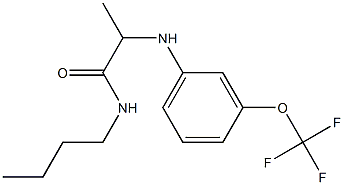 N-butyl-2-{[3-(trifluoromethoxy)phenyl]amino}propanamide 结构式