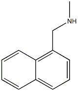 N-methyl-N-(1-naphthylmethyl)amine 结构式