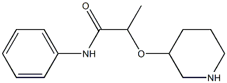 N-phenyl-2-(piperidin-3-yloxy)propanamide 结构式