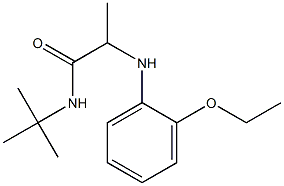 N-tert-butyl-2-[(2-ethoxyphenyl)amino]propanamide 结构式