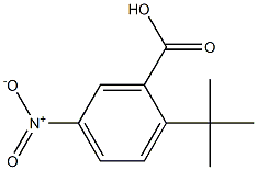 2-tert-butyl-5-nitrobenzoic acid 结构式