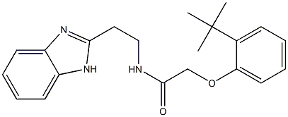 N-[2-(1H-benzimidazol-2-yl)ethyl]-2-(2-tert-butylphenoxy)acetamide 结构式