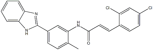 N-[5-(1H-benzimidazol-2-yl)-2-methylphenyl]-3-(2,4-dichlorophenyl)acrylamide 结构式