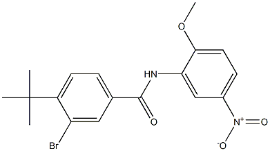 3-bromo-4-(tert-butyl)-N-(2-methoxy-5-nitrophenyl)benzamide 结构式