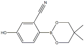 2-(5,5-Dimethyl-1,3,2-dioxaborinan-2-yl)-5-hydroxybenzonitril 结构式