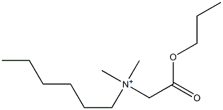 N,N-Dimethyl-N-(propoxycarbonylmethyl)-1-hexanaminium 结构式