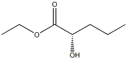 [S,(-)]-2-Hydroxyvaleric acid ethyl ester 结构式