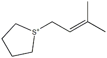 1-(3-Methyl-2-butenyl)tetrahydrothiophene-1-ium 结构式