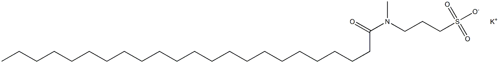 3-[N-(1-Oxotricosyl)-N-methylamino]-1-propanesulfonic acid potassium salt 结构式