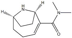 (1R,6R)-N,N-Dimethyl-9-azabicyclo[4.2.1]non-2-ene-2-carboxamide 结构式