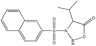 2,3-Dihydro-4-isopropyl-3-[(2-naphtyl)sulfonyl]-1,3,2-oxazaborol-5(4H)-one 结构式