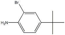 2-bromo-4-tert-butylbenzenamine 结构式