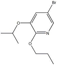 5-broMo-3-isopropoxy-2-propoxypyridine 结构式