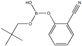 2-氰基苯硼酸新戊酯 结构式