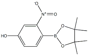 3-硝基-4-(4,4,5,5-四甲基-1,3,2-二氧杂硼烷-2-基)-苯酚 结构式