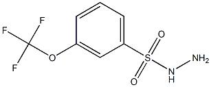 3-(Trifluoromethoxy)benzenesulfonohydrazide 结构式