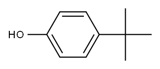 对叔丁基酚 结构式