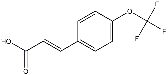 4-三氟甲氧基肉桂酸 结构式