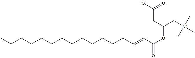 trans-Hexadec-2-enoyl carnitine 结构式