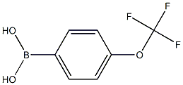 4-(TRIFLUOROMETHOXYL)PHENYLBORONIC ACID 结构式