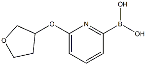 6-(TETRAHYDRO-FURAN-3-YLOXY)PYRIDINE-2-BORONIC ACID 结构式