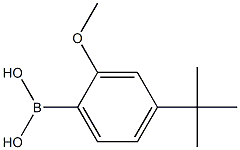 (4-TERT-BUTYL-2-METHOXYPHENYL)BORONIC ACID 结构式