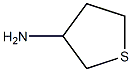 tetrahydrothiophen-3-amine 结构式