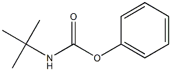 phenyl N-(tert-butyl)carbamate 结构式