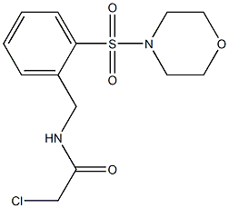 2-chloro-N-[2-(morpholin-4-ylsulfonyl)benzyl]acetamide 结构式