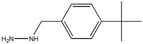 1-(4-tert-butylbenzyl)hydrazine 结构式