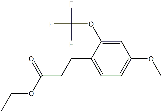 ethyl 3-(4-methoxy-2-(trifluoromethoxy)phenyl)propanoate 结构式