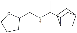 (1-{bicyclo[2.2.1]heptan-2-yl}ethyl)(oxolan-2-ylmethyl)amine 结构式