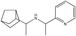 (1-{bicyclo[2.2.1]heptan-2-yl}ethyl)[1-(pyridin-2-yl)ethyl]amine 结构式