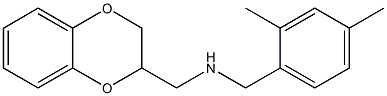 (2,3-dihydro-1,4-benzodioxin-2-ylmethyl)[(2,4-dimethylphenyl)methyl]amine 结构式