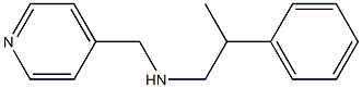 (2-phenylpropyl)(pyridin-4-ylmethyl)amine 结构式