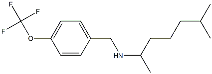(6-methylheptan-2-yl)({[4-(trifluoromethoxy)phenyl]methyl})amine 结构式