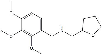 (oxolan-2-ylmethyl)[(2,3,4-trimethoxyphenyl)methyl]amine 结构式