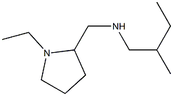 [(1-ethylpyrrolidin-2-yl)methyl](2-methylbutyl)amine 结构式