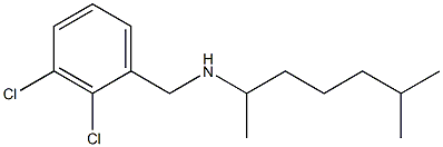 [(2,3-dichlorophenyl)methyl](6-methylheptan-2-yl)amine 结构式